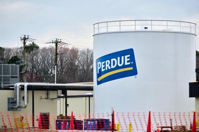 Waste from agricultural plant poisoned US town’s water with Pfas, lawsuits allege