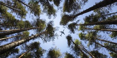 Inside the search for sustainable aviation fuels, which are on the federal chopping block