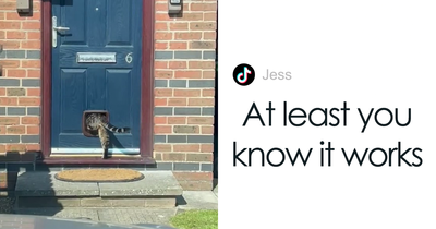 Handyman Installs New Cat Flap, Sends Customer Video, Gets Hilarious Response
