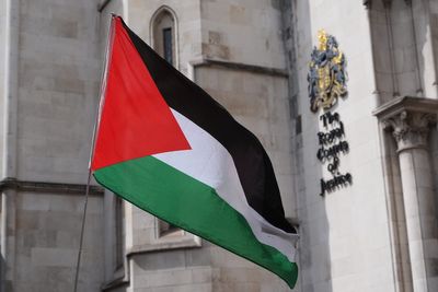 Palestine Action has committed ‘violence’ and ‘significant injury’, No 10 says