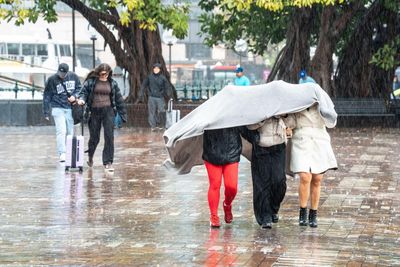 Sydney has wettest start to August in decades – and there could be more rain when spring arrives