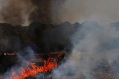‘Nightmare’ for France and Spain as extreme heat fuels wildfires