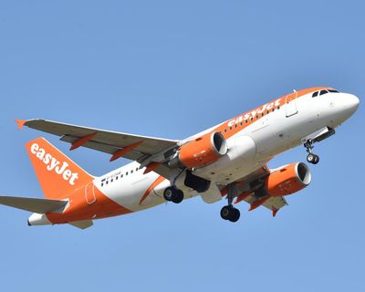 EasyJet suspends pilot after claims he wandered naked around luxury hotel