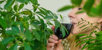 From clear skin to detoxing, chlorophyll and collagen supplements promise a lot, but what does the science say?
