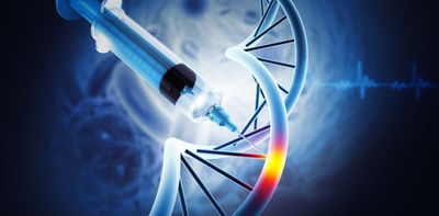 Gene therapy can be less effective in women – and my research in mice brings us one step closer to understanding why