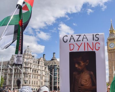 What will happen to people arrested at Palestine Action demonstration?