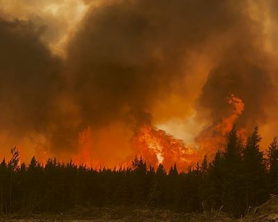 Canada wildfire season already second worst on record as experts warn of ‘new reality’