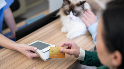 The real cost of owning a cat revealed