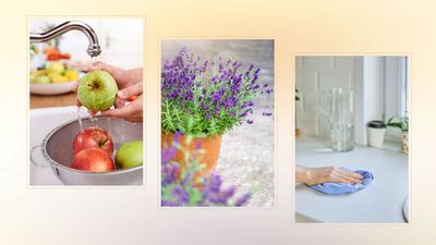 How to get rid of fruit flies for good using 9 harmless methods