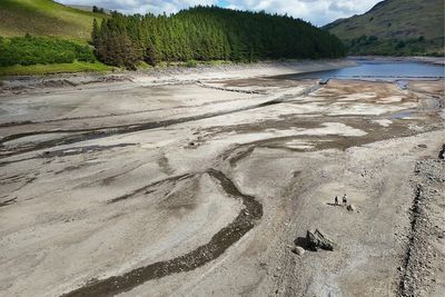Urgent drought and wildfires warning issued amid UK heatwave