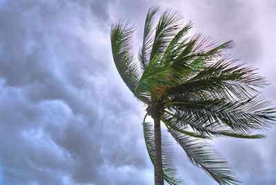 Tropical Storm Erin Hurricane Twist: Spaghetti Models Hint at a Surprise Track Change