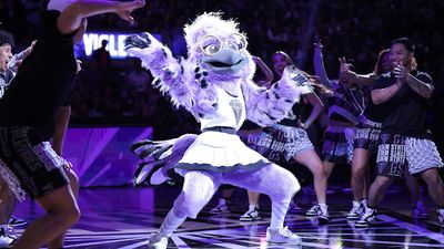 Valkyries Make Wild Reveal by Hatching Purple Egg to Showcase New Mascot