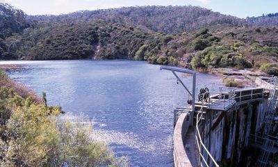 ‘No clinical benefit’ to blood test for Pfas, government says, after ‘forever chemicals’ found in Blue Mountains