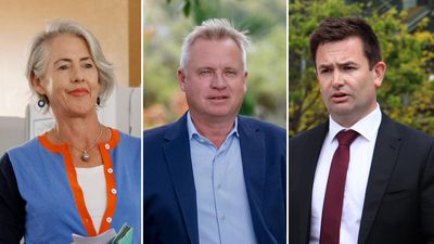 Greens won't prop up Labor government 'at this stage'
