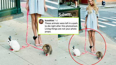 Fauxsocialite Anna Delvey Shuts Down Claims She Dumped Rabbits After A Photoshoot