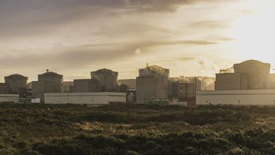 Jellyfish swarm forces shutdown of French nuclear plant