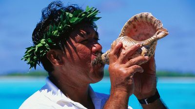 Blowing into a conch could be new, accessible treatment for sleep apnea, says research