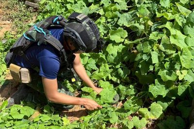 Thailand warns it may act in 'self-defense' after soldier hurt by a mine blast near Cambodian border