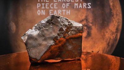 The world's biggest Mars rock sold at auction, but Niger wants to know how it got there