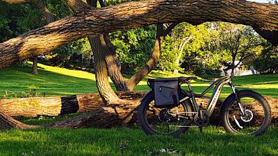 Why Are Some Places Cracking Down So Hard On E-Bikes, and Is It About Fuel Tax?