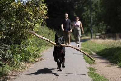 Expert’s top tips on how to protect your wellbeing in a heatwave