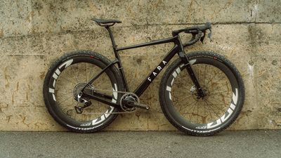 Want to go crazy wide? This Norwegian brand is up there with the best for tyre clearance with its latest gravel bike