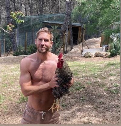 Calvin Harris says his chicken was murdered by neighbour's 'grimy dogs'