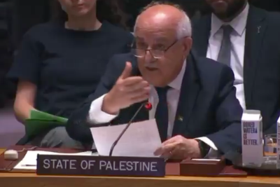 Palestinian ambassador calls for media to enter Gaza hours before Al Jazeera reporters killed