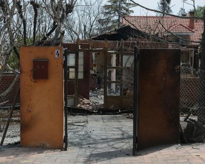 Wrecked houses and 26 dead horses: residents return to Madrid suburb after wildfire
