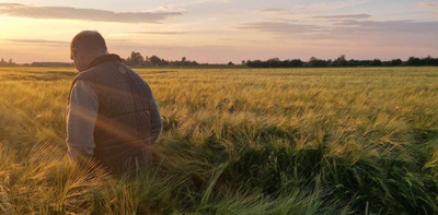 Family farmers say their way of life is an impossible dream when ‘the bread of life is worth less than rusty metal’