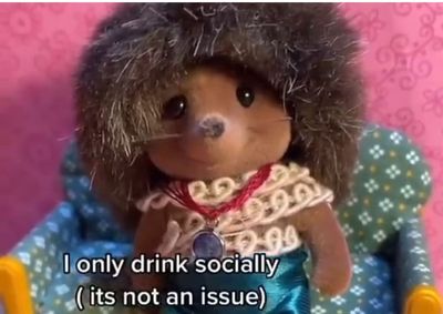 'Sylvanian Drama' To Change Name After Japanese Toy Giant Drops Lawsuit — Here's What Fans Are Suggesting