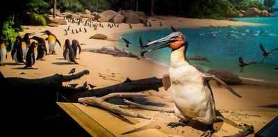 Dagger beaks and strong wings: new fossils rewrite the penguin story and affirm NZ as a cradle of their evolution