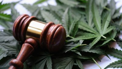 Cannabis ETFs Light Up As Trump Eyes Marijuana Reclassification