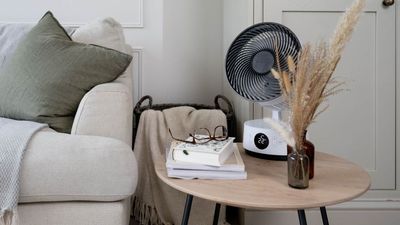 Forget Dyson, this 5-star fan has saved me during the heatwave