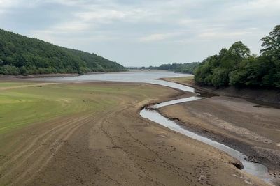 Why deleting emails could prevent water droughts from worsening