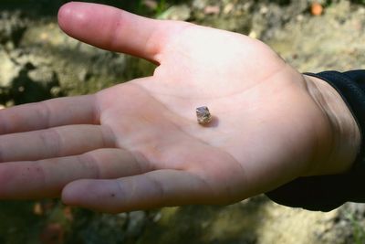 Woman finds 2.3-carat diamond at Arkansas state park