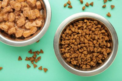 8 Pet Brands That Were Sued Over Ingredient Mislabeling