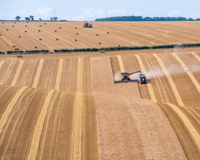 Biochar from human waste could solve global fertiliser shortages, study finds