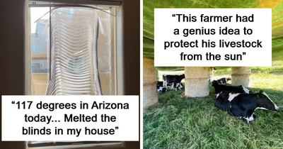 This Summer Heat Wave Is No Joke, As These 45 Terrifying Photos Show