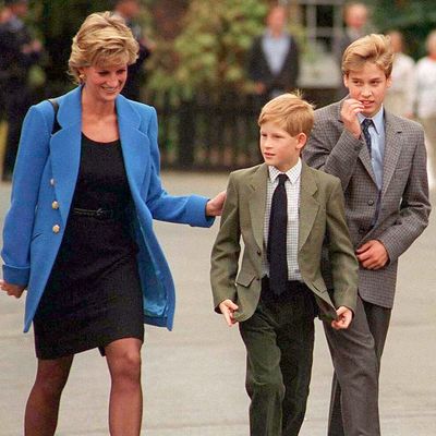 Princess Diana Would Be Acting as a “Peacemaker” Between Prince William and Prince Harry, Her Biographer Says