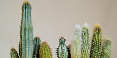 Does penis size matter? And how do I know what’s normal?