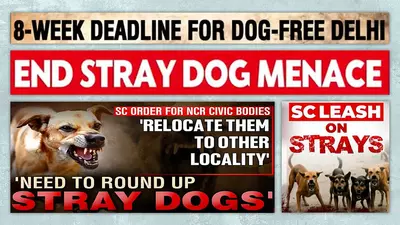 Wanted: Menacing dogs for TV thumbnails