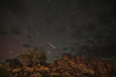 Sky Spectacle: The Perseids Peak Tonight – Here's Where and When to Look