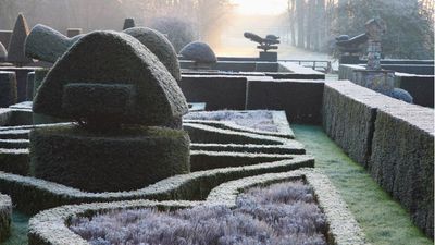 The Farmers' Almanac winter forecast 2025 predicts 'frequent snowstorms' that could wipe out your planting – here's how to get ahead and prepare your garden