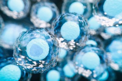 Tech execs are paying top dollar to breed smarter babies, report claims