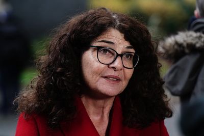 New suspect ethnicity guidance ‘may not stop spread of disinformation’, policing minister admits