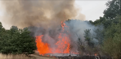Police probe 'deliberate' wildfire at London park after five blazes tear through grassland in just three days