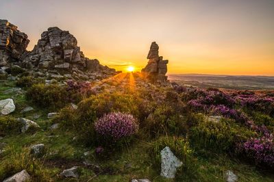Rare upland landscapes on English-Welsh border protected with expanded reserve