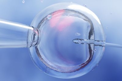 The targeted programme found to improve IVF outcomes