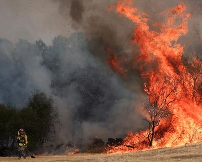 Spain wildfires are ‘clear warning’ of climate emergency, minister says